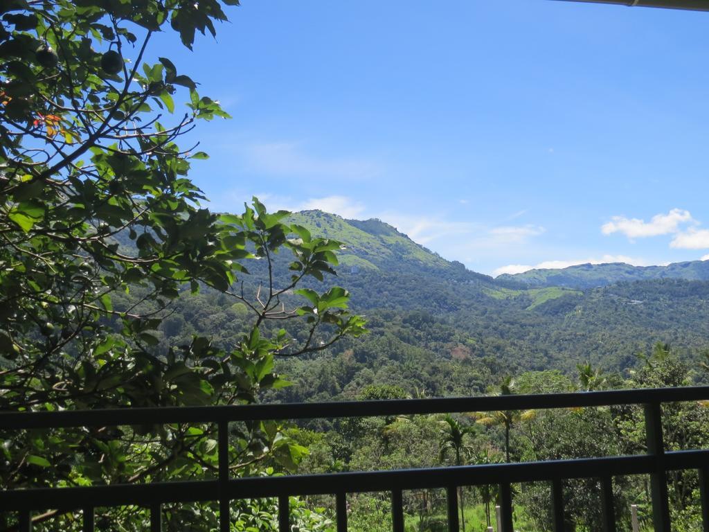 Mistletoe Homestay & Cafe Munnar Eksteriør billede